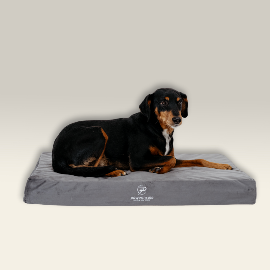 Hundekissen - vitafit orthopädisches Hundekissen mit PowerInSoul-Technologie