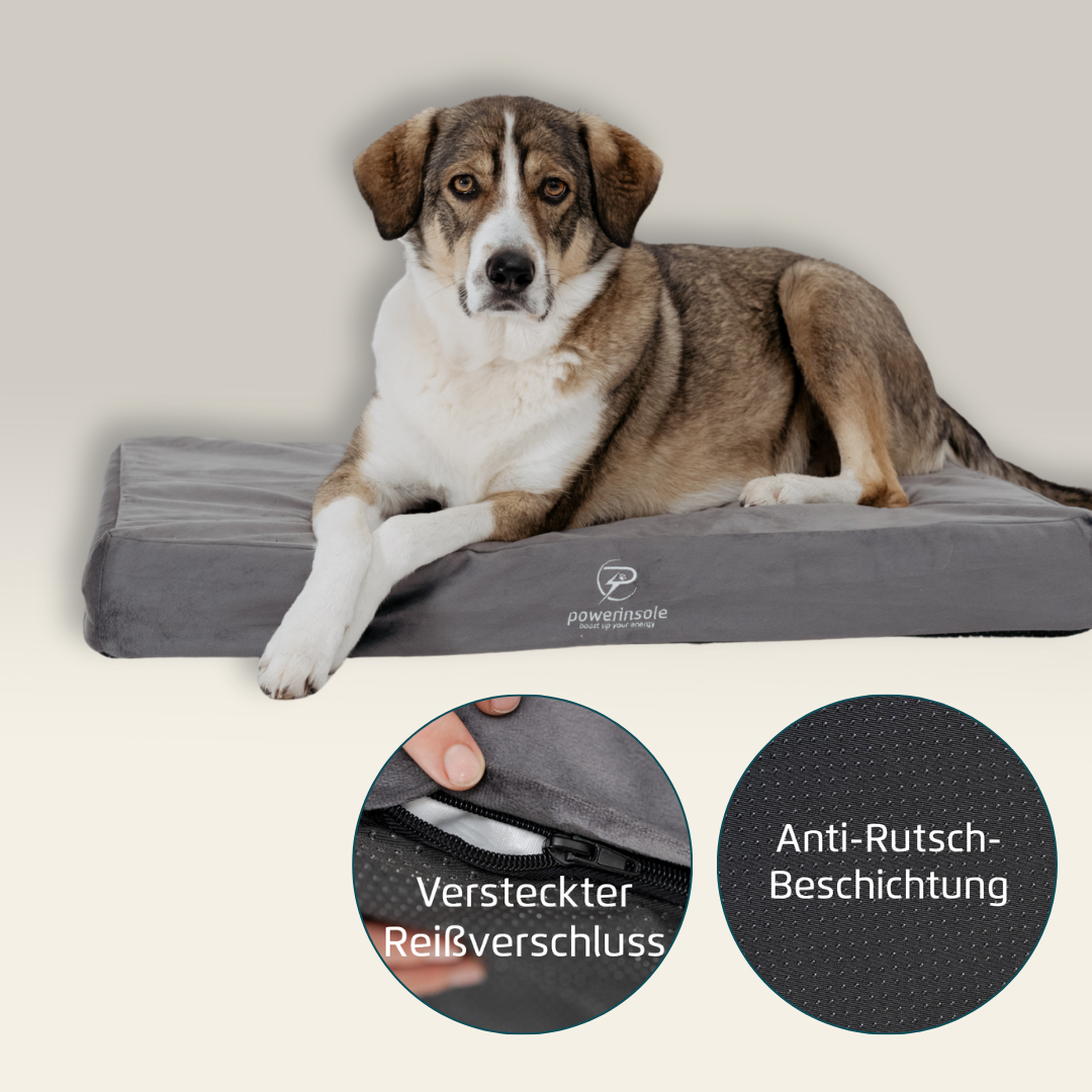 Hundekissen - vitafit orthopädisches Hundekissen mit PowerInSoul-Technologie