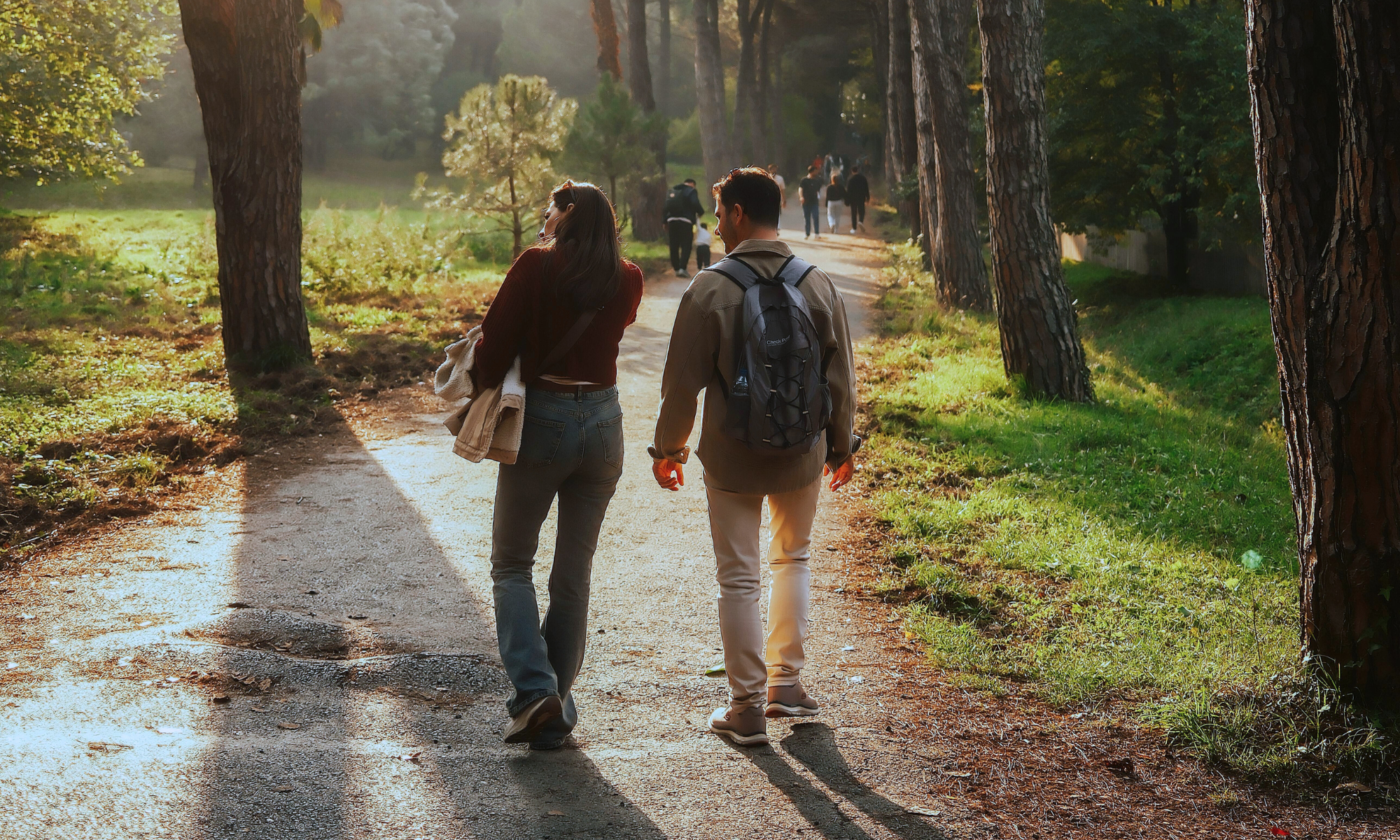 spaziergang-wald-gesunde-lebensweise